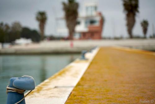 Porto degli Argonauti Pontile